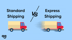 Express/Standard shipping service icon