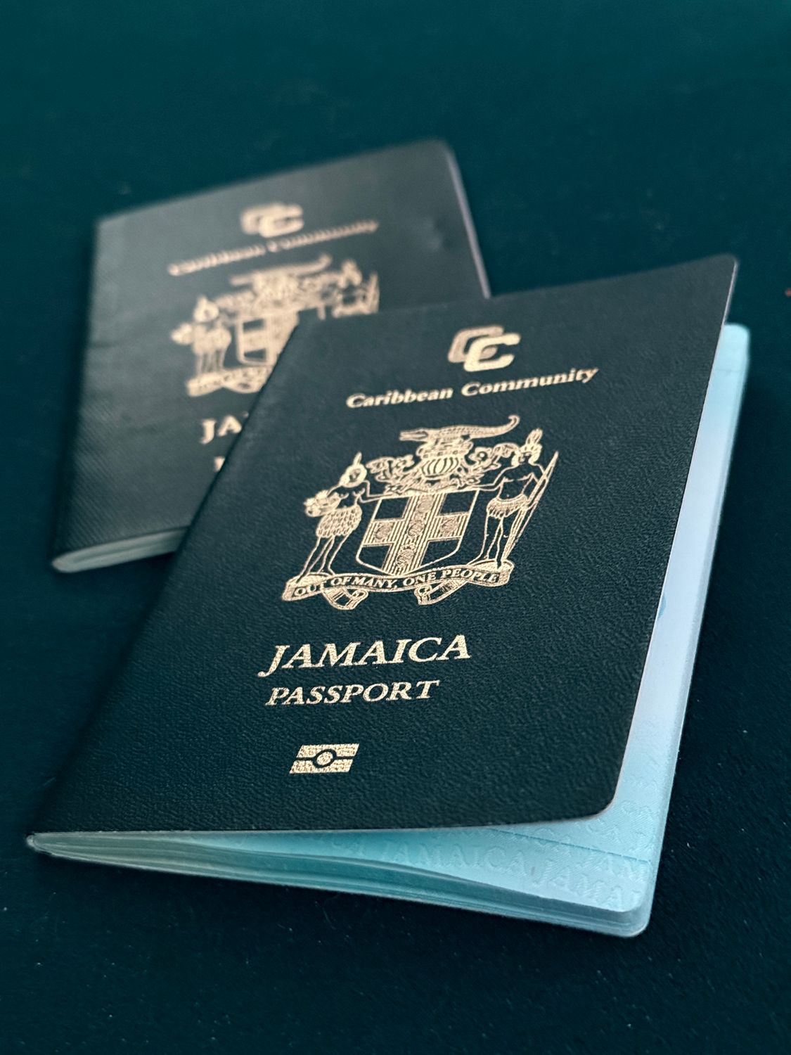 Jamaican Adult Passport Renewals service icon